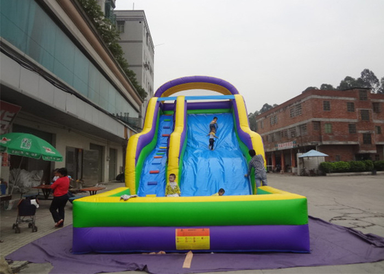 China Huge Commercial Inflatable Slide 9L X 4W X6H / Digital Printing Inflatable Water Park Slide supplier