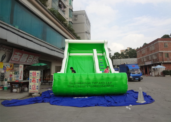 China Fire Retardant Outdoor Customized Blow Up Commercial Inflatable Slide Green Slide supplier