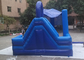 Funny Jumping Castles Frozen Inflatable Bounce House With Slide And Roof Cover supplier