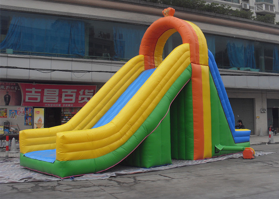 China Giant Adult Commercial Inflatable Slide 6m High Fire Retardant supplier