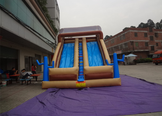 China Funny Outdoor Inflatable Slide , Inflatable Wet / Dry Slide For Kids supplier