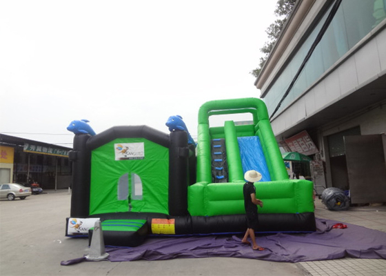 China Outdoor Jumping Castle Inflatable Water Slide , Commercial Inflatable Water Slide With Bounce House supplier