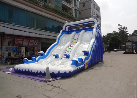 China Outdoor Double Dolphin Inflatable Backyard Water Slide With 9L X 4W X6H supplier