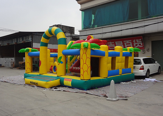 China Safety 0.55mm PVC Tarpaulin Inflatable amusement park With Fish Shark supplier