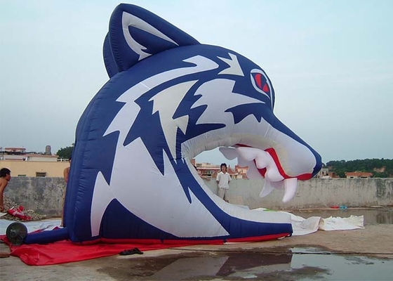 China Large Vivid Shark Decoration Inflatable Model For Advertising And Decoration supplier