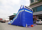 Outdoor Double Dolphin Inflatable Backyard Water Slide With 9L X 4W X6H supplier