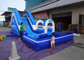 Blue Tunnel Interesting Inflatable Slip N Slide With Arch Entrance supplier