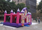 Indoor 120Kg Inflatable Bounce Houses Playground With Princess Theme supplier