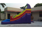 Commercial PVC Vinyl Giant Inflatable Water Slide For Adult, Commercial Grade PVC Rainbow Inflatable Water Slide supplier
